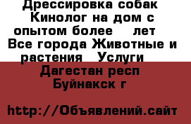 Дрессировка собак (Кинолог на дом с опытом более 10 лет) - Все города Животные и растения » Услуги   . Дагестан респ.,Буйнакск г.